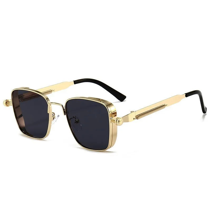 Echo Lens Sunglasses